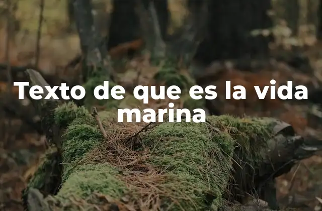 Texto de que es la Vida Marina 2 El universo oculto bajo las olas