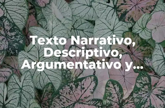 ¿Qué es un Texto Narrativo?