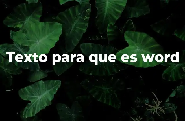 Texto para que es Word