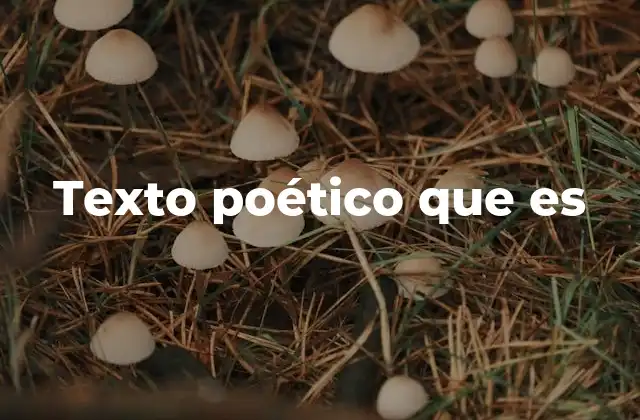 Texto Poético que es