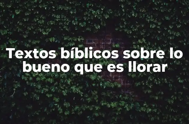 Textos Bíblicos sobre Lo Bueno que es Llorar