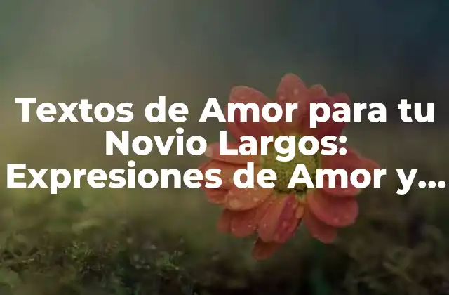 Textos de Amor para Tu Novio Largos: Expresiones de Amor y Carinho