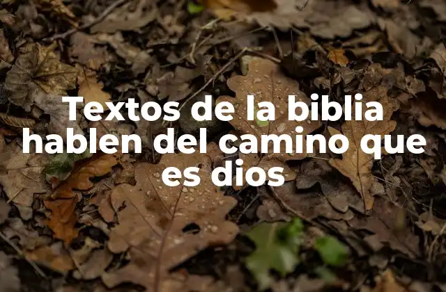 Textos de la Biblia Hablen Del Camino que es Dios 2 La importancia del camino espiritual en la vida cristiana