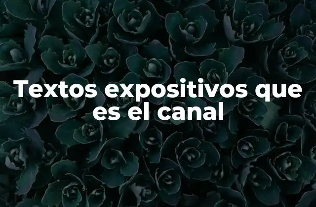 Textos Expositivos que es el Canal