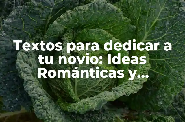 Textos para Dedicar a Tu Novio: Ideas Románticas y Originales 2 ¿Por qué los textos románticos son importantes en una relación?