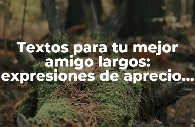 Textos para Tu Mejor Amigo Largos: Expresiones de Aprecio y Gratitud
