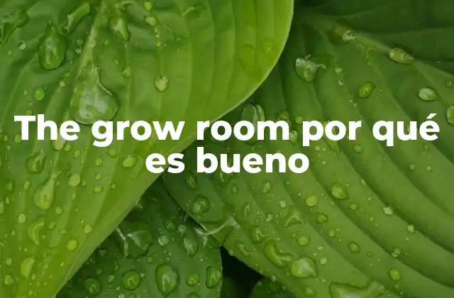 The Grow Room por Qué es Bueno