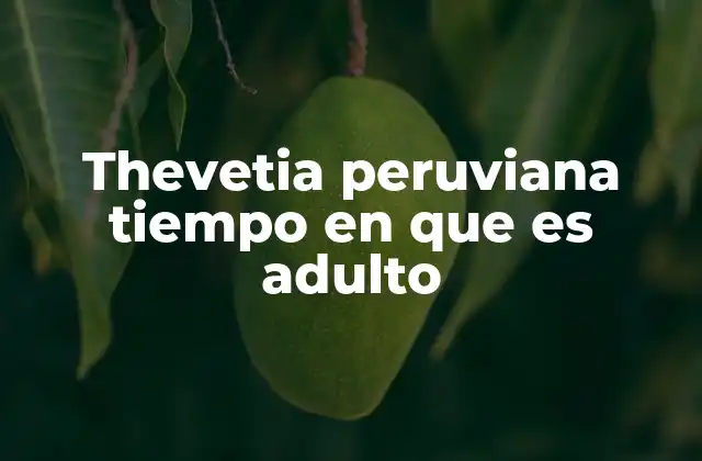 Thevetia Peruviana Tiempo en que es Adulto