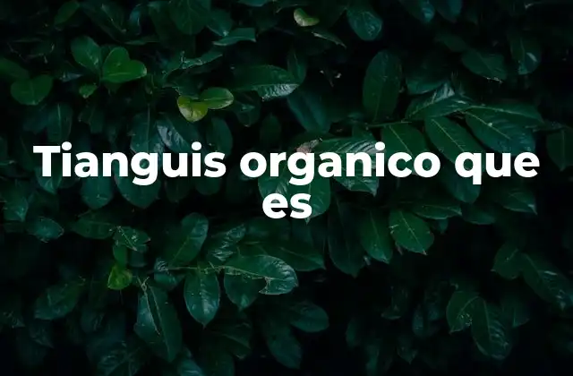 Tianguis Organico que es