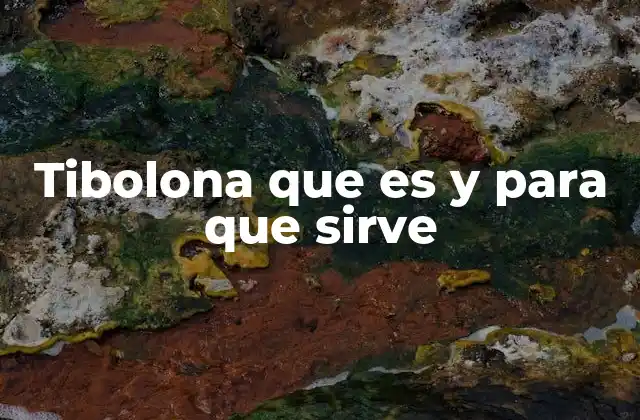Tibolona que es y para que Sirve