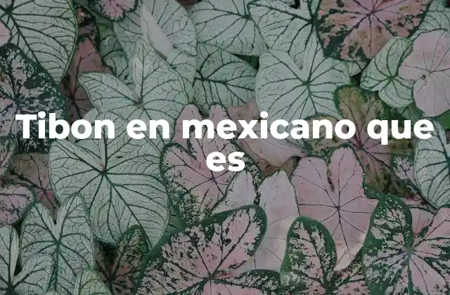 Tibon en Mexicano que es