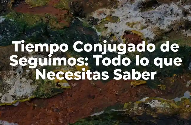 Tiempo Conjugado de Seguimos: Todo Lo que Necesitas Saber