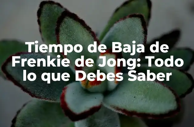 Tiempo de Baja de Frenkie de Jong: Todo Lo que Debes Saber