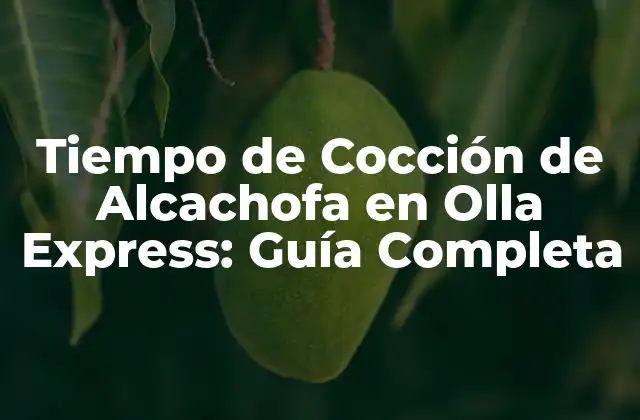 Tiempo de Cocción de Alcachofa en Olla Express: Guía Completa
