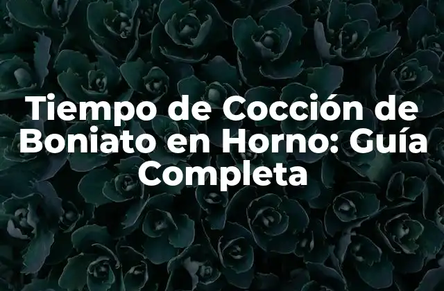 Tiempo de Cocción de Boniato en Horno: Guía Completa