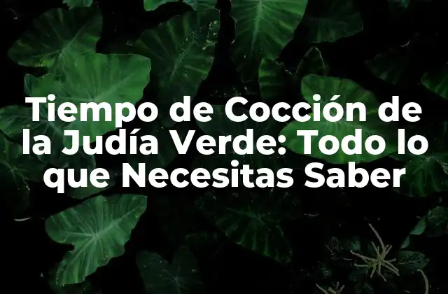 Tiempo de Cocción de la Judía Verde: Todo Lo que Necesitas Saber
