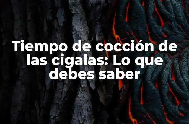 Tiempo de Cocción de las Cigalas: Lo que Debes Saber