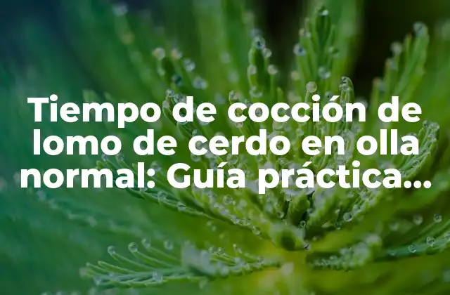 Tiempo de Cocción de Lomo de Cerdo en Olla Normal: Guía Práctica para Cocinar a la Perfección