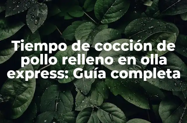 Tiempo de Cocción de Pollo Relleno en Olla Express: Guía Completa 2 ¿Cuánto tiempo lleva cocinar pollo relleno en olla express?