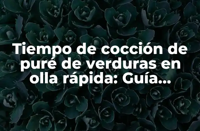 Tiempo de Cocción de Puré de Verduras en Olla Rápida: Guía Completa