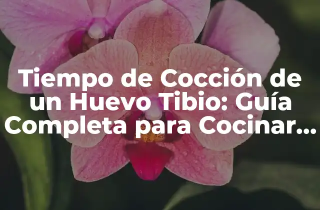 Tiempo de Cocción de un Huevo Tibio: Guía Completa para Cocinar Huevos Perfectos