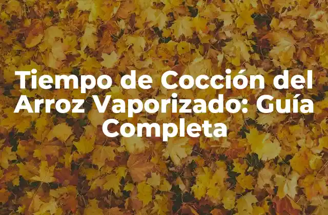 Tiempo de Cocción Del Arroz Vaporizado: Guía Completa