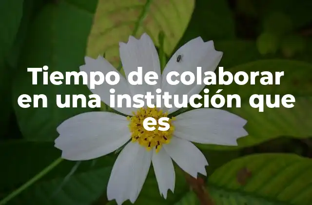 Tiempo de Colaborar en una Institución que es