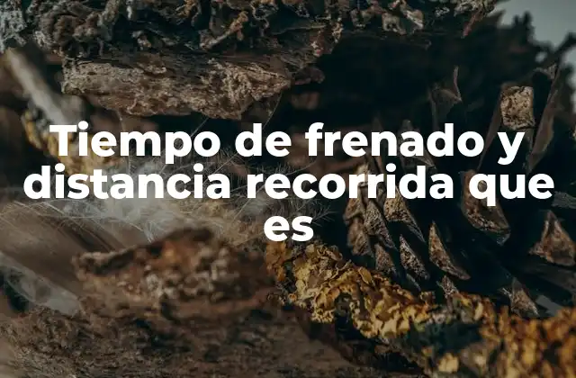 Tiempo de Frenado y Distancia Recorrida que es