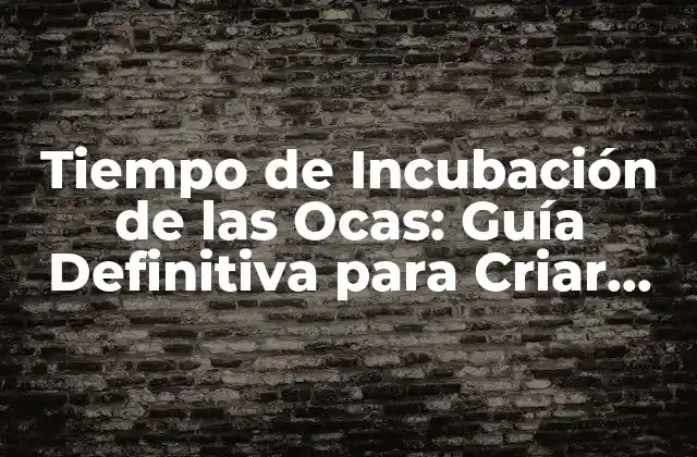 Tiempo de Incubación de las Ocas: Guía Definitiva para Criar Ocas Saludables