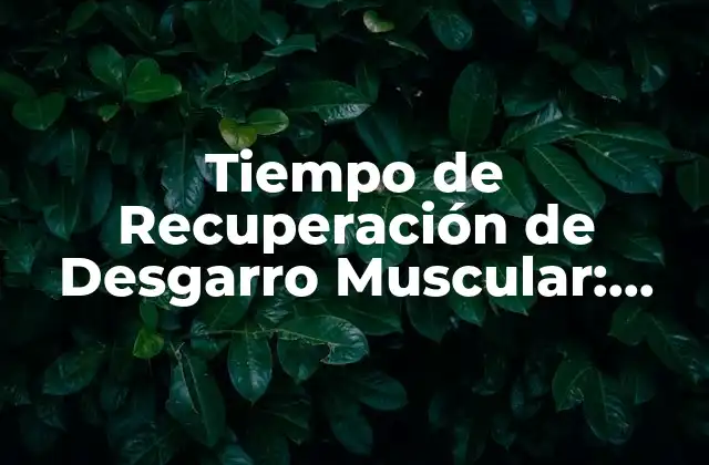 Tiempo de Recuperación de Desgarro Muscular: Todo Lo que Necesitas Saber