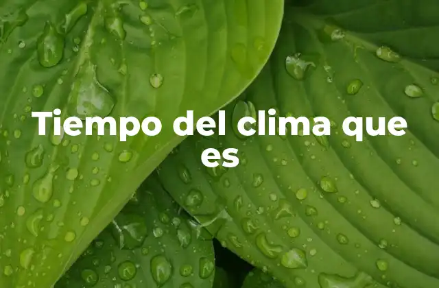 Tiempo Del Clima que es