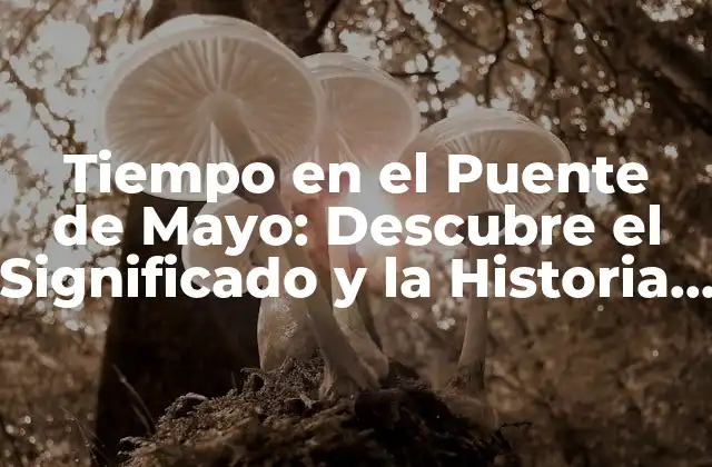 Tiempo en el Puente de Mayo: Descubre el Significado y la Historia Detrás de Esta Tradición