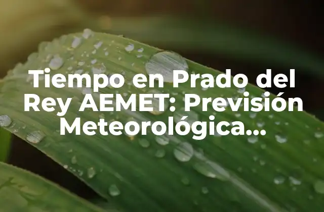 Tiempo en Prado Del Rey Aemet: Previsión Meteorológica Actualizada