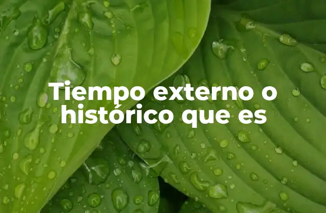 Tiempo Externo o Histórico que es