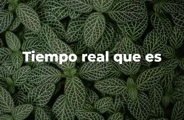 Tiempo Real que es 2 El concepto detrás de lo inmediato