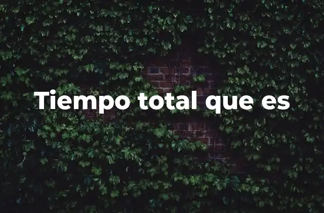 Tiempo Total que es