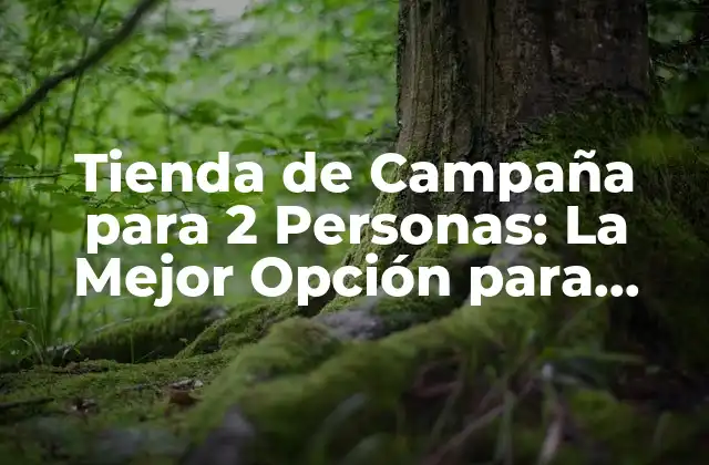 Tienda de Campaña para 2 Personas: la Mejor Opción para Aventureros