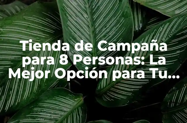 Tienda de Campaña para 8 Personas: la Mejor Opción para Tu Próximo Viaje