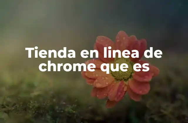 Tienda en Linea de Chrome que es
