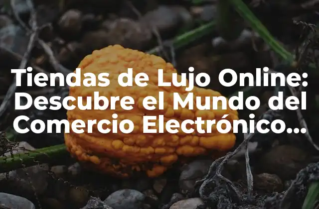 Tiendas de Lujo Online: Descubre el Mundo Del Comercio Electrónico de Alta Gama