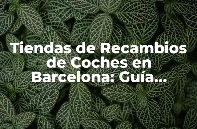 Tiendas de Recambios de Coches en Barcelona: Guía Completa 2 Importancia de las Tiendas de Recambios de Coches en Barcelona