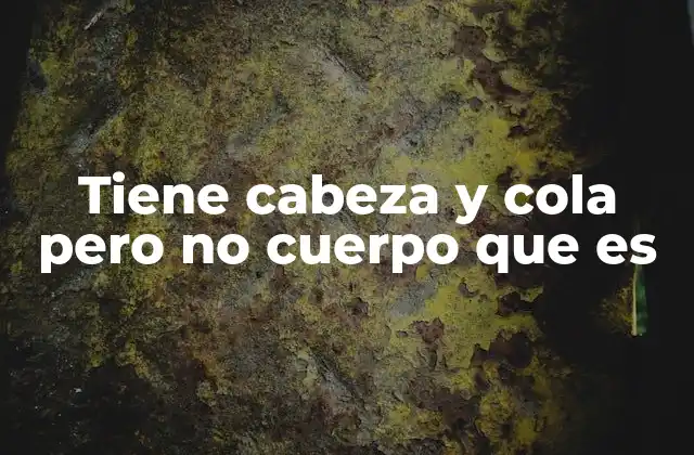 Tiene Cabeza y Cola pero No Cuerpo que es