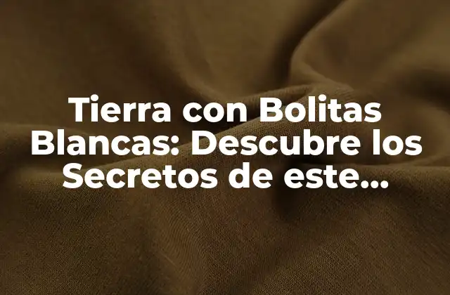 Tierra con Bolitas Blancas: Descubre los Secretos de Este Fertilizante Natural