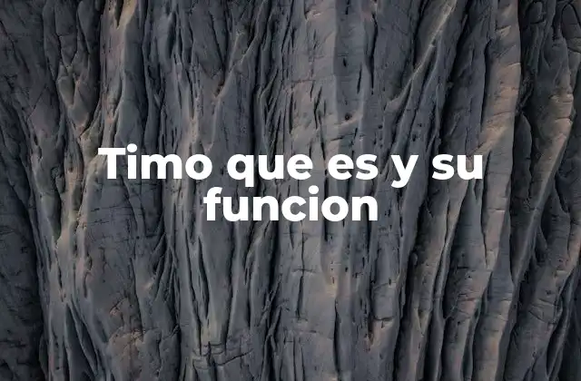 Timo que es y Su Funcion 2 El papel del timo en el desarrollo inmunológico