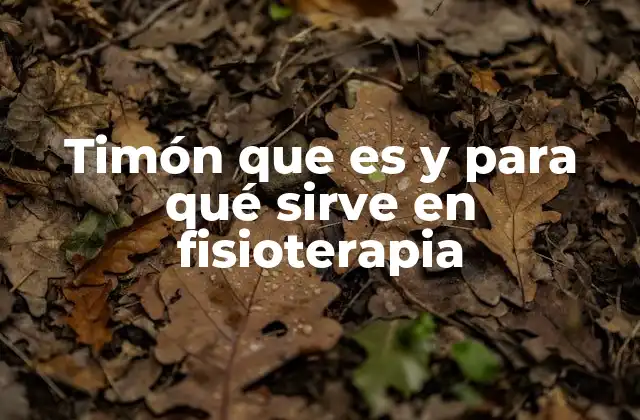 Timón que es y para Qué Sirve en Fisioterapia