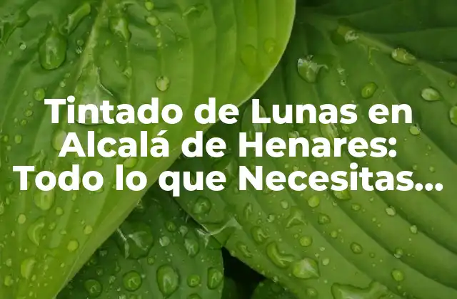 Tintado de Lunas en Alcalá de Henares: Todo Lo que Necesitas Saber