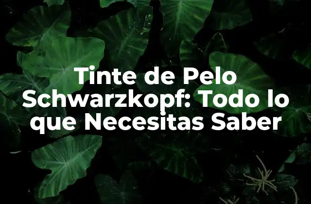 Tinte de Pelo Schwarzkopf: Todo Lo que Necesitas Saber