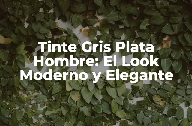 Tinte Gris Plata Hombre: el Look Moderno y Elegante