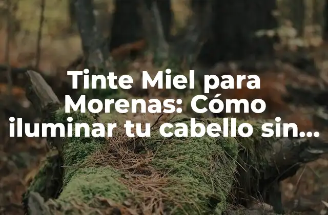 Tinte Miel para Morenas: Cómo Iluminar Tu Cabello sin Dañarlo