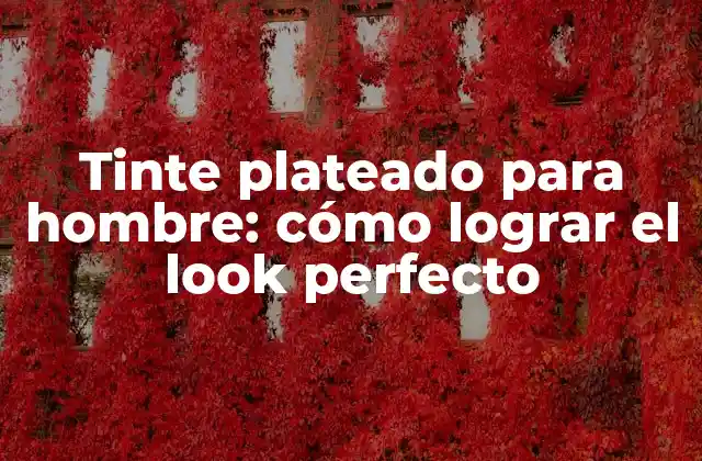 Tinte Plateado para Hombre: Cómo Lograr el Look Perfecto 2 ¿Qué es el tinte plateado para hombre y cómo se logra?